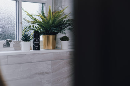 ROK Powder bottle on windowsill with fern and succulent plant display – vegan styling powder