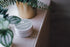 ROK Magnesium Butter jar on wooden surface with plants – natural body butter UK made