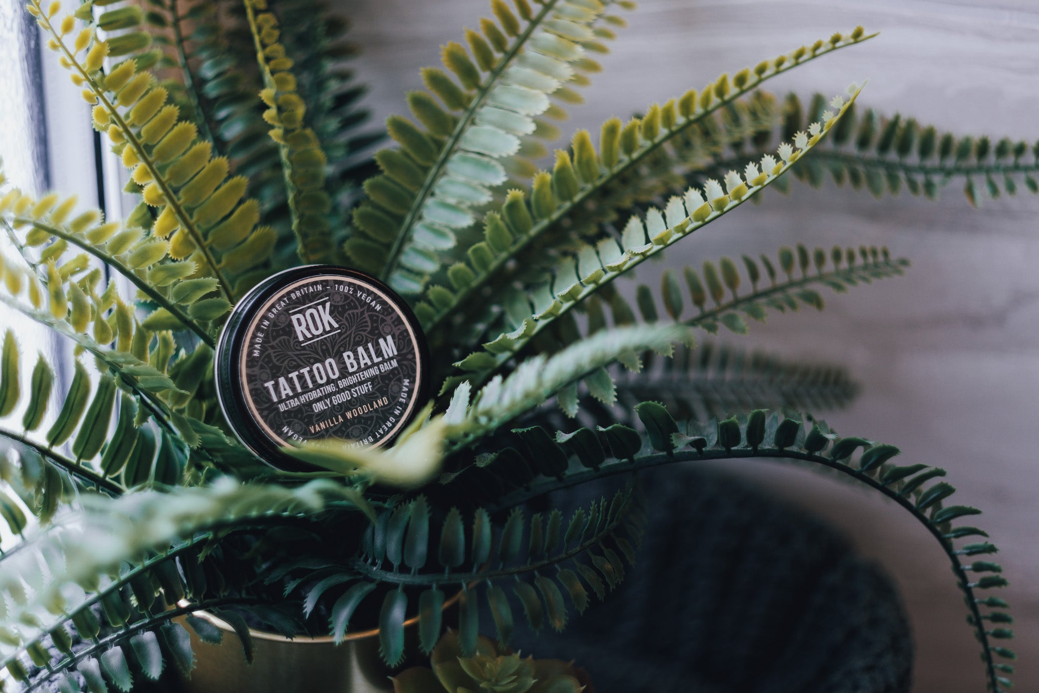 ROK Tattoo Balm tin nestled in large fern plant with tropical foliage – vegan tattoo aftercare UK