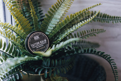 ROK Tattoo Balm tin nestled in large fern plant with tropical foliage – vegan tattoo aftercare UK
